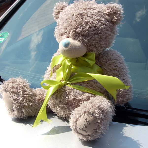 M��a na auto nev�sty
