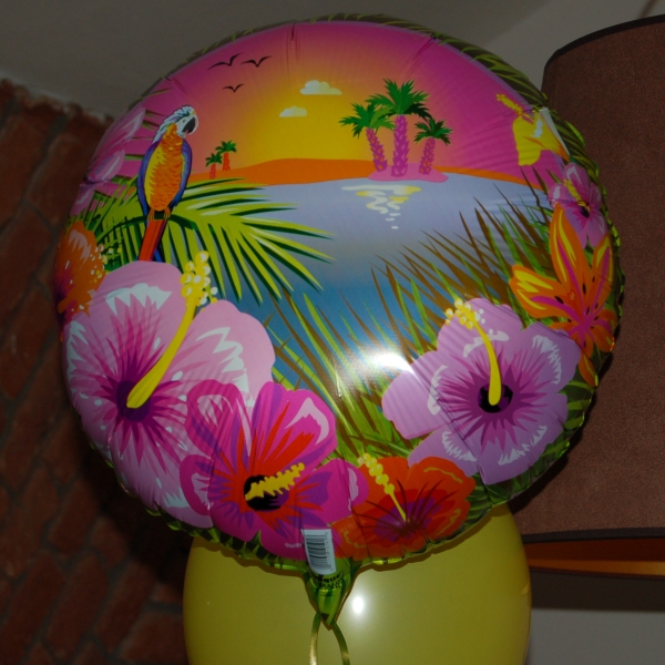 Hawaii bal�nky