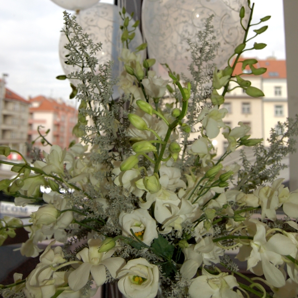 Kv�tinov� aran�