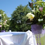 Dekorace ob�adn�ho m�sta