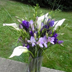 Kv�tinov� aran�e
