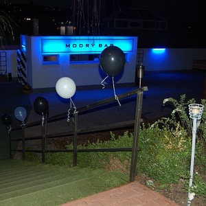 Modr� bar V�s v�t�