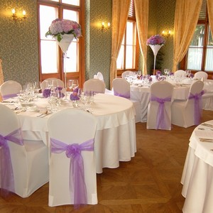 Svatebn� hostina