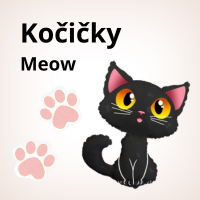 Party_s_kocickami