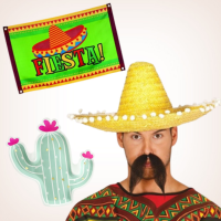 Fiesta party