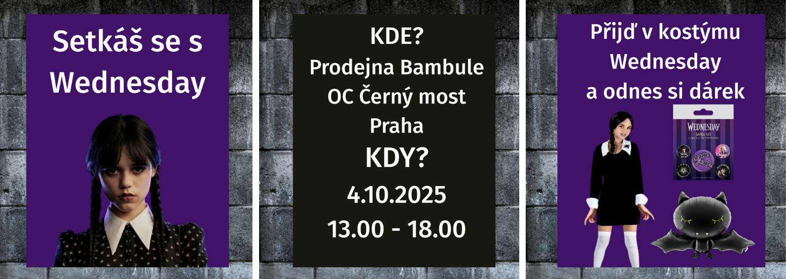 1 Wednesday_party