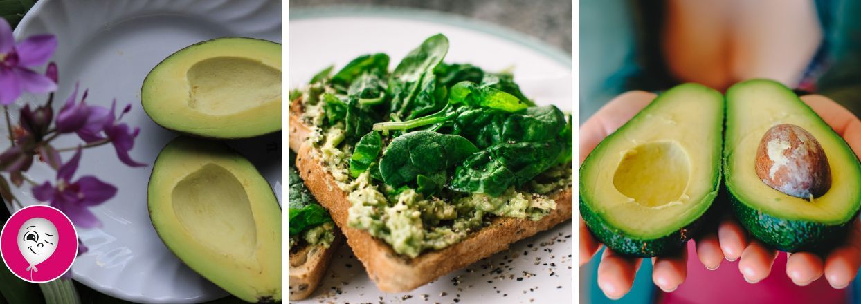 Avokado_recepy