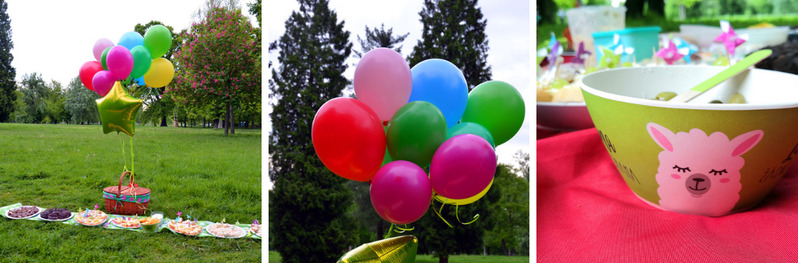 1 Piknik_party