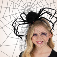 Halloween_pavouci_hav�