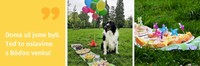 Piknik_party