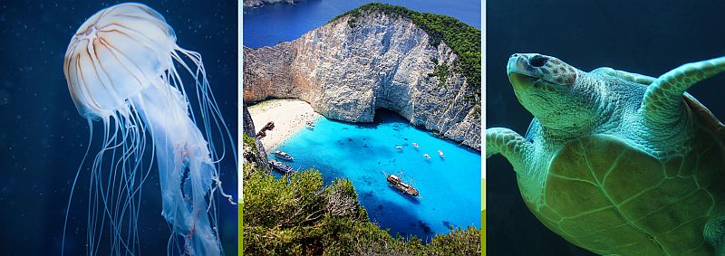 Oce�n