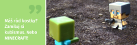 Minecraft_party