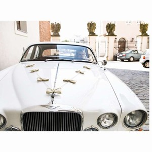 DEKORA�N� set na auto - Ma�le 1