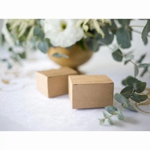 KRABI�KA kraftov� 6x5,5x3,5cm 10ks