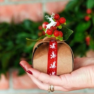 KRABI�KA s ou�kem kraftov� 6x6x5,5cm