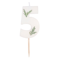 Sv��ka dortov� ��slice 5 Listy