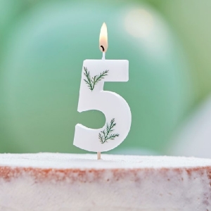 Sv��ka dortov� ��slice 5 Listy
