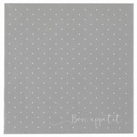 UBROUSKY Airlaid s punt��ky st��brn� 40x40cm 12ks