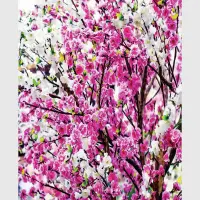 Dekorativn� z�v�s Kv�ty | 180 x 160 cm | FCSXL 4806