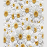 Dekorativn� z�v�s Kv�ty | 180 x 160 cm | FCSXL 4810