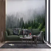 Vliesov� fototapeta na zed' Vrcholky strom� v?mlze | 375 x 270 cm | FT5P 3031 - 011