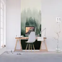 Vliesov� fototapeta na zed' Lesn� mlha | 150 x 270 cm | FT2P 2545 - 012