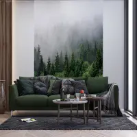 Vliesov� fototapeta na zed' Les v rann� mlze | 225 x 270 cm | FT3P 5901 - 011