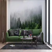 Vliesov� fototapeta na zed' Les v rann� mlze | 300 x 270 cm | FT4P 5701 - 011