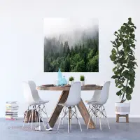 Vliesov� fototapeta na zed' Les v rann� mlze | 155 x 110 cm | FTNM 7705 - 011