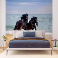 Vliesov� fototapeta na zed' Kon� | 375 x 270 cm | FTNS 1260