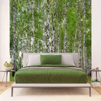Vliesov� fototapeta na zed' B�ezov� h�j | 375 x 270 cm | FTNS 2448