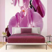 Vliesov� fototapeta na zed' Fialov� orchidej | 375 x 270 cm | FTNS 2459