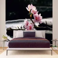 Vliesov� fototapeta na zed' Kv�ty sakury na l�vov�ch kamenech | 375 x 270 cm | FTNS 2460