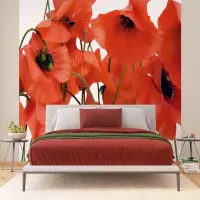 Vliesov� fototapeta na zed' Vl�� m�k | 375 x 270 cm | FTNS 2461