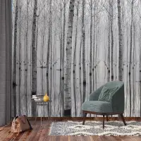 Vliesov� fototapeta na zed' B��zov� reflexe | 375 x 270 cm | FTNXXL 3004