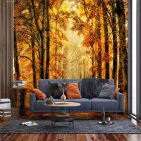 Vliesov� fototapeta na zed' Podzimn� cesta | 360 x 270 cm | FTNXXL 3009