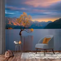 Vliesov� fototapeta na zed' Strom v?jeze�e Wanaka | 375 x 270 cm | FTNXXL 3015