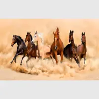 Vliesov� fototapeta na zed' Z�vod u�lechtil�ch kon� | 202 x 90 cm | FTNH 2748