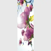 Vliesov� fototapeta na zed' Kv�ty magnolie | 202 x 90 cm | FTNV 2873