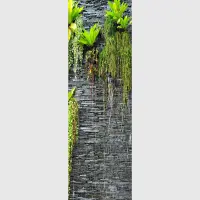 Vliesov� fototapeta na zed' Zarostl� b�idlicov� ze� | 202 x 90 cm | FTNV 2889