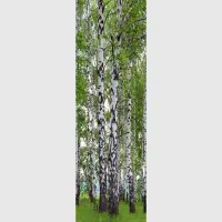 Vliesov� fototapeta na zed' B��zy | 202 x 90 cm | FTNV 2896