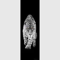 Vliesov� fototapeta na zed' Levhart | 202 x 90 cm | FTNV 2897