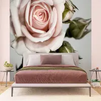 Vliesov� fototapeta na zed' R��e | 375 x 270 cm | FTNXXL 0313