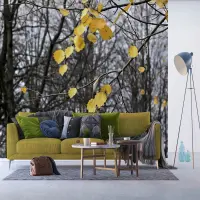 Vliesov� fototapeta na zed' Podzimn� list� | 375 x 270 cm | FTNXXL 0317