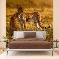 Vliesov� fototapeta na zed' Gepardi | 375 x 270 cm | FTNXXL 0420