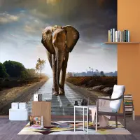 Vliesov� fototapeta na zed' Kr�l slon� | 375 x 270 cm | FTNXXL 0438