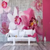 Vliesov� fototapeta na zed' Smysln� orchideje | 375 x 270 cm | FTNXXL 1148