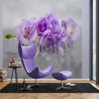 Vliesov� fototapeta na zed' N�n� orchidej | 375 x 270 cm | FTNXXL 2400
