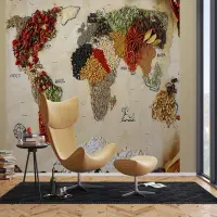 Vliesov� fototapeta na zed' Mapa ko�en� | 375 x 270 cm | FTNXXL 2484