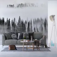 Vliesov� fototapeta na zed' Stromy v?mlze | 375 x 270 cm | FTNXXL 3008